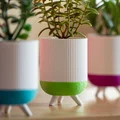 Modern Planter – Chậu trồng cây hiện đại phong cách hygge - Thumbnail 2