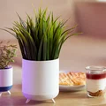 Modern Planter – Chậu trồng cây hiện đại phong cách hygge - Thumbnail 3