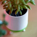 Modern Planter – Chậu trồng cây hiện đại phong cách hygge - Thumbnail 4