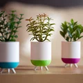 Modern Planter – Chậu trồng cây hiện đại phong cách hygge - Thumbnail 5