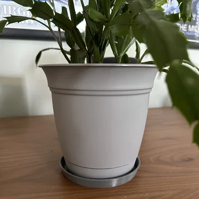 Khay Hứng Nước Chậu Cây Tham Số (Parametric Plant Drip Tray)