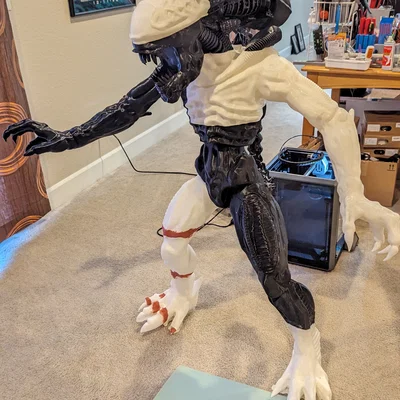 Alien Xenomorph đứng (Aliens xenomorph standing)