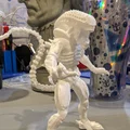 Alien Xenomorph đứng (Aliens xenomorph standing) - Thumbnail 8