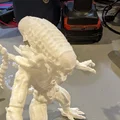 Alien Xenomorph đứng (Aliens xenomorph standing) - Thumbnail 9
