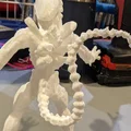 Alien Xenomorph đứng (Aliens xenomorph standing) - Thumbnail 10