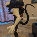 Alien Xenomorph đứng (Aliens xenomorph standing) - Thumbnail 11