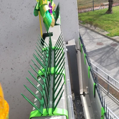 Spike đuổi chim dạng mô-đun (Modular bird spikes)