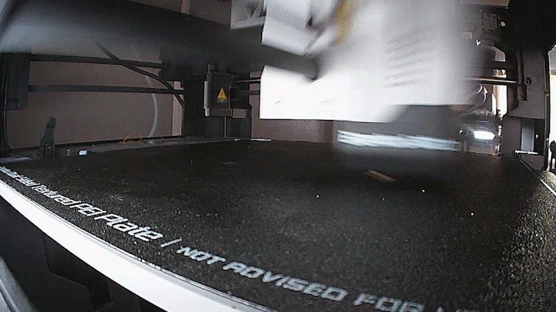 Cobra Snake (Rắn Hổ Mang) - Image 6