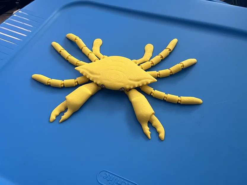 Mô hình chú cua linh hoạt Flexi Crab in 3D sống động - Image 1