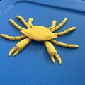 Mô hình chú cua linh hoạt Flexi Crab in 3D sống động - Thumbnail 1
