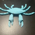 Mô hình chú cua linh hoạt Flexi Crab in 3D sống động - Thumbnail 2