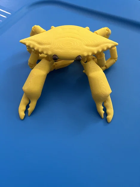 Mô hình chú cua linh hoạt Flexi Crab in 3D sống động - Image 3
