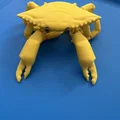 Mô hình chú cua linh hoạt Flexi Crab in 3D sống động - Thumbnail 3