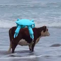 Mô hình chú cua linh hoạt Flexi Crab in 3D sống động - Thumbnail 5