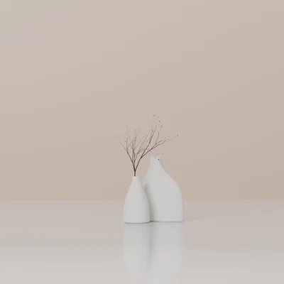 Bộ bình hoa phong cách Nordic tối giản (Set 2 bình)