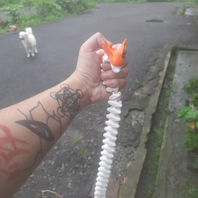 Super Flexi Dragonair - Dragonair khớp nối dẻo