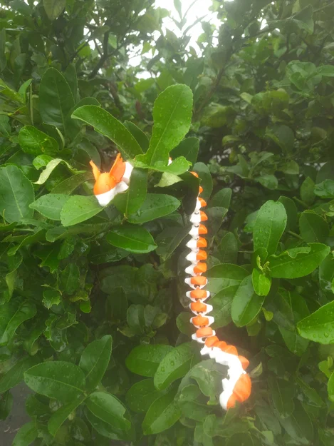 Super Flexi Dragonair - Dragonair khớp nối dẻo - Image 3