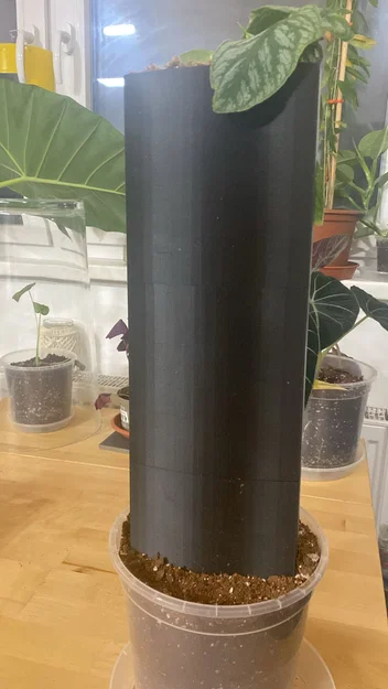 Moosstab Monstera Dubia / Plant Support / Moss Pole - Image 4