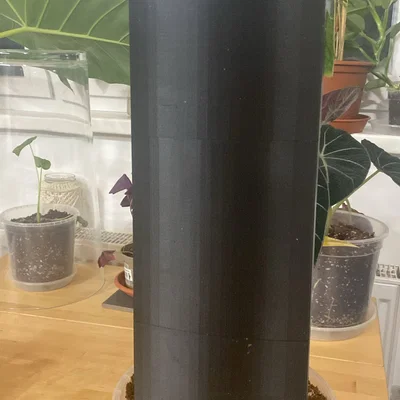 Moosstab Monstera Dubia / Plant Support / Moss Pole