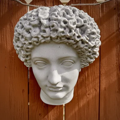 Vineyard Art – Tượng Bust Roman/Greek Treo Trang Trí Vườn Nho