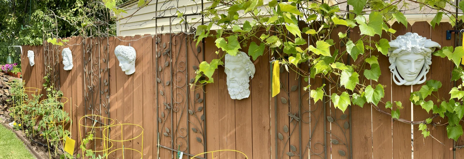 Vineyard Art – Tượng Bust Roman/Greek Treo Trang Trí Vườn Nho - Image 6