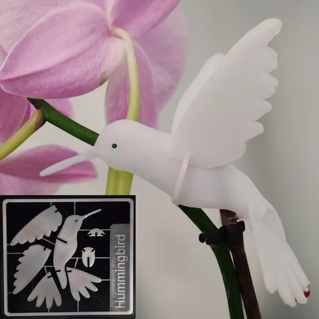 Humminbird kit card – Kit card lắp ráp chim ruồi - Image 1