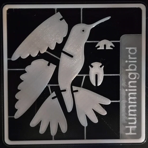 Humminbird kit card – Kit card lắp ráp chim ruồi - Image 3