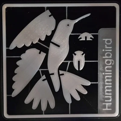 Humminbird kit card – Kit card lắp ráp chim ruồi