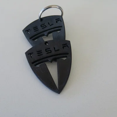 Móc khóa Tesla (Tesla keychain) in 3D