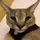 DavidCalado_4166473