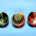 Chậu Trồng Cây - Planter - Blumentopf - Thumbnail 1