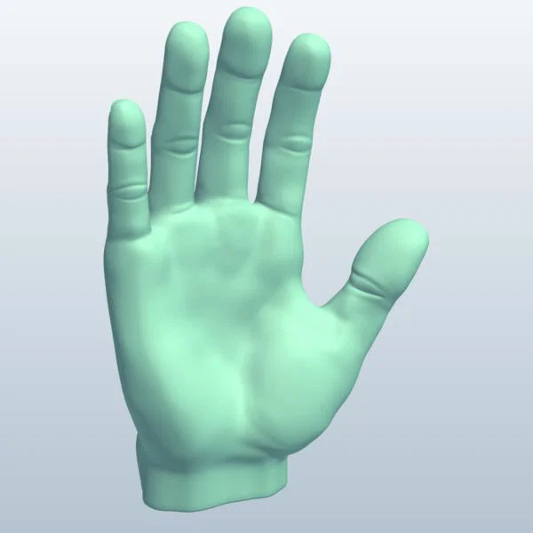 Mô hình bàn tay 3D (Hands) - File STL chi tiết cho trang trí và nghệ thuật - Image 2