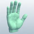Mô hình bàn tay 3D (Hands) - File STL chi tiết cho trang trí và nghệ thuật - Thumbnail 2