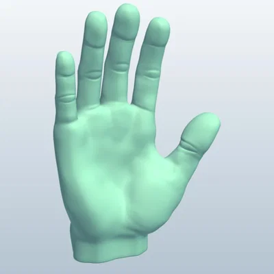 Mô hình bàn tay 3D (Hands) - File STL chi tiết cho trang trí và nghệ thuật