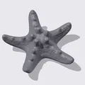 Mô hình sao biển 3D chi tiết (Starfish photogrammetry scan) tuyệt đẹp - Thumbnail 2