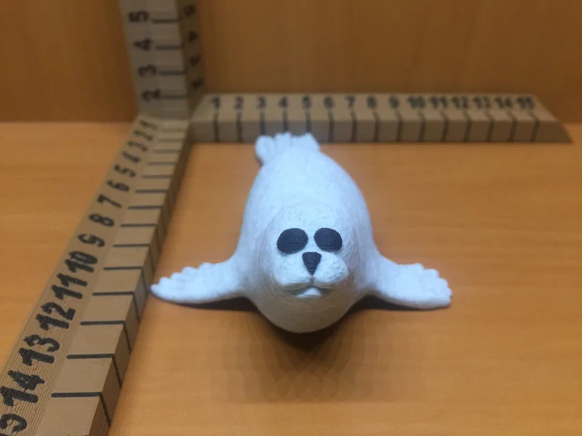 Hải cẩu (Seal) - Image 2