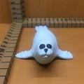 Hải cẩu (Seal) - Thumbnail 2