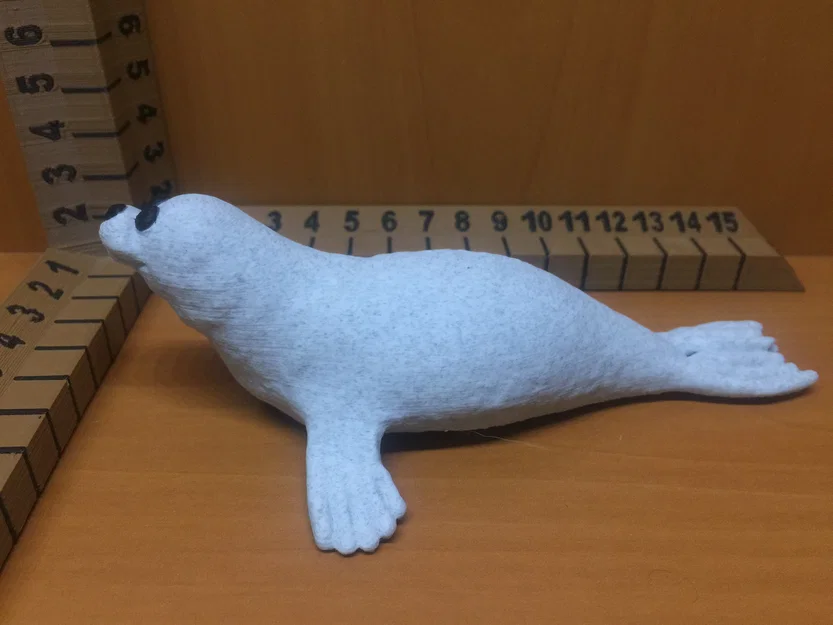 Hải cẩu (Seal) - Image 3