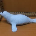 Hải cẩu (Seal) - Thumbnail 3