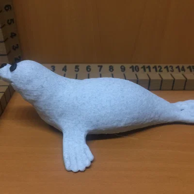 Hải cẩu (Seal)