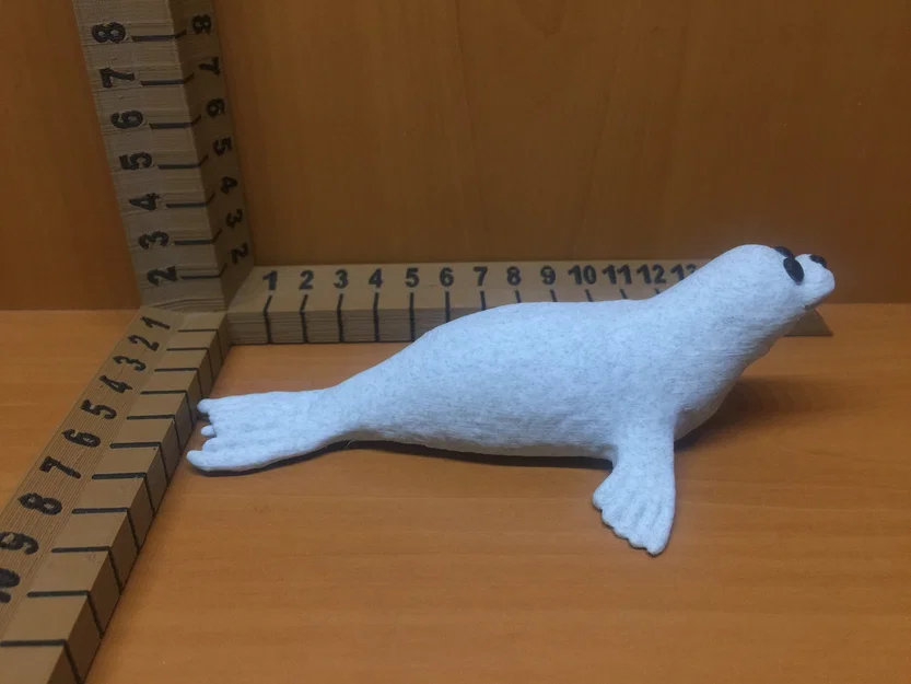 Hải cẩu (Seal) - Image 5