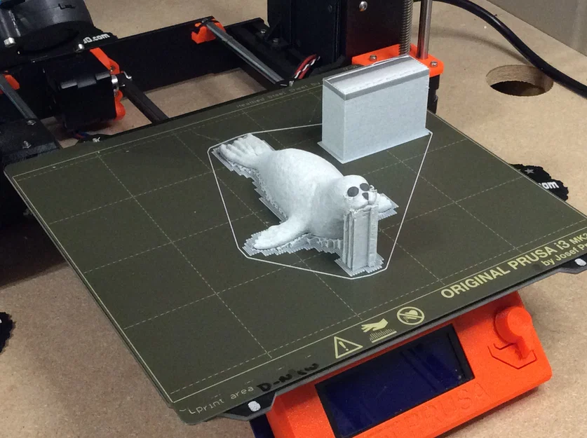 Hải cẩu (Seal) - Image 6