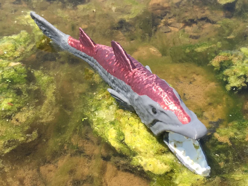 Barracuda - Image 1