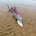 Barracuda - Thumbnail 2