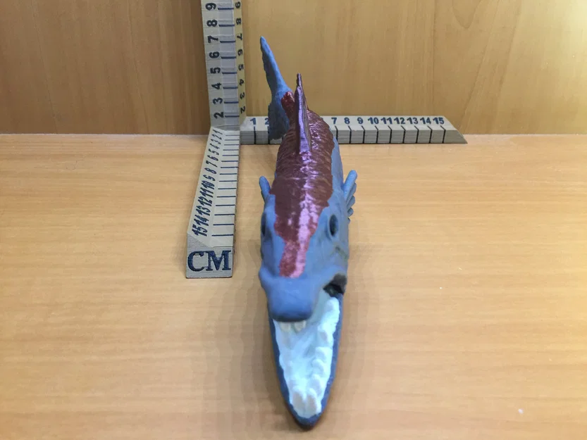 Barracuda - Image 4