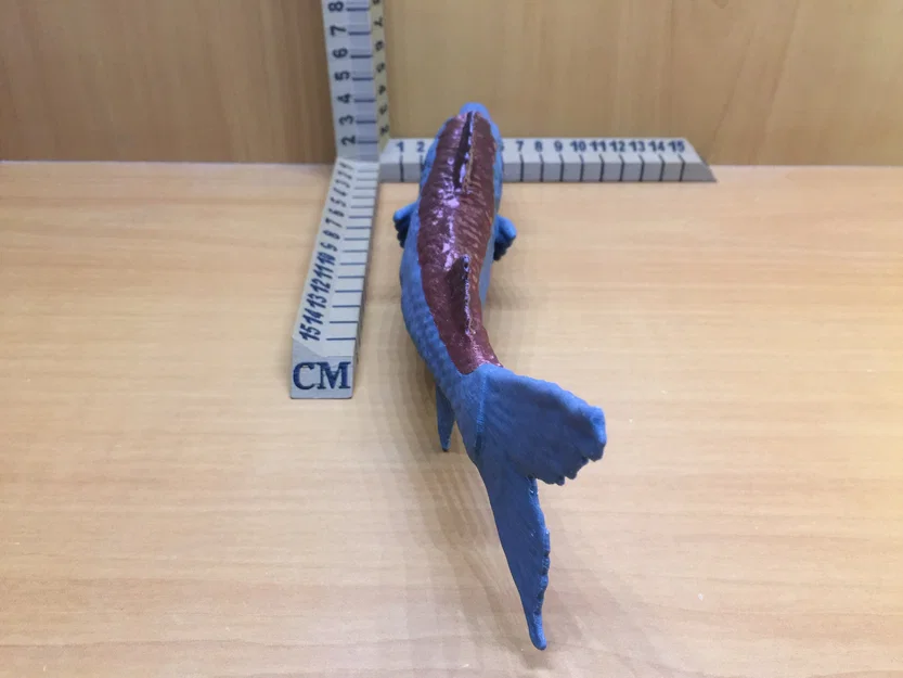 Barracuda - Image 6