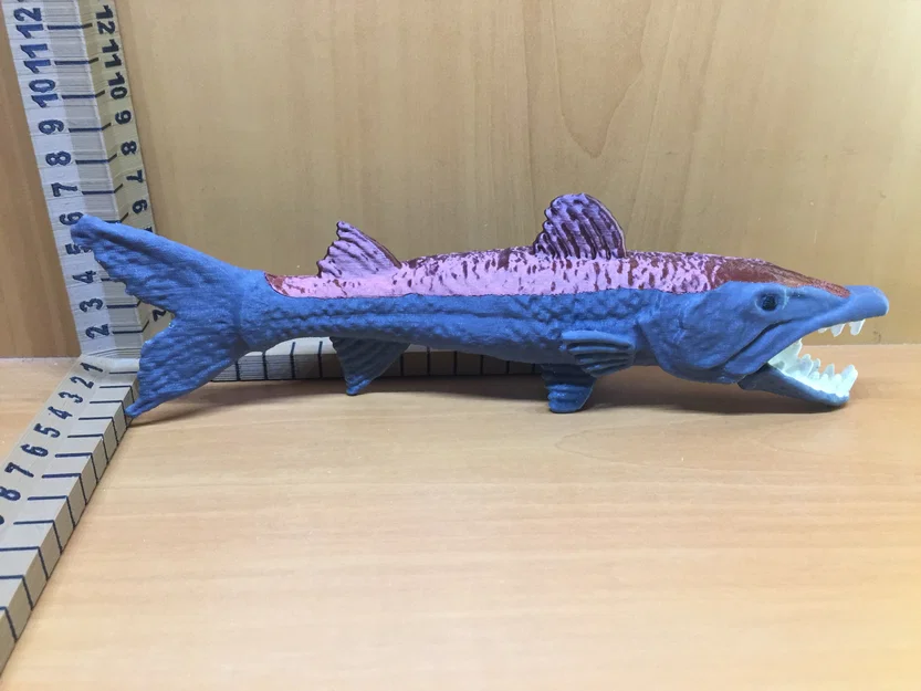 Barracuda - Image 7