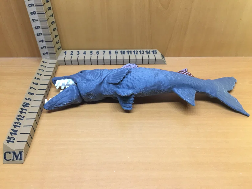 Barracuda - Image 8