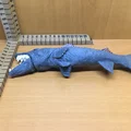 Barracuda - Thumbnail 8