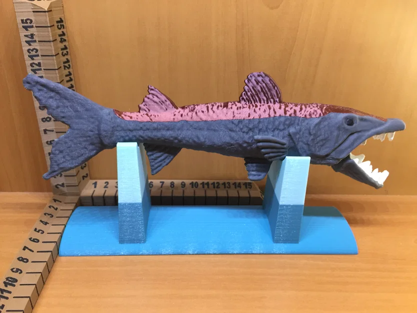 Barracuda - Image 10